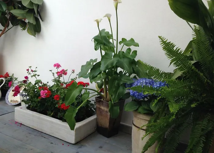 Patio San Lorenzo