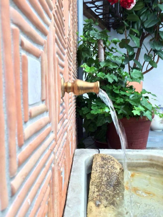 Apartament Patio San Lorenzo